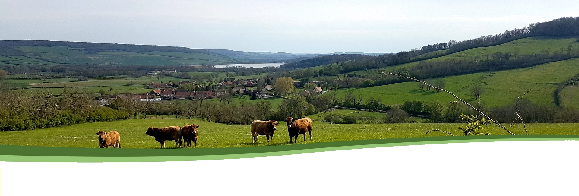 Bannière SEMAREY (Côte d'Or)